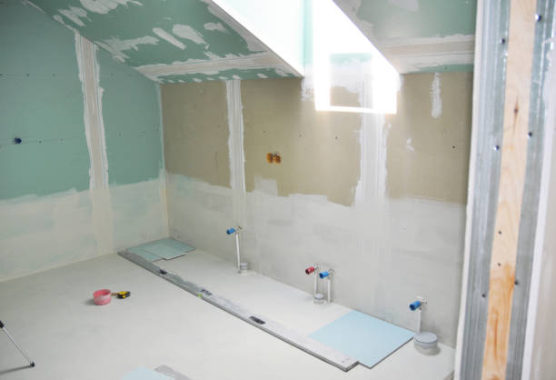 Firestone, CO Mold Removal Company