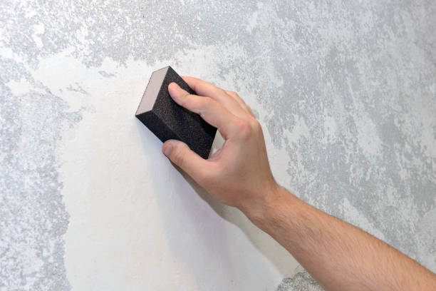 Best Mold Remediation for Healthcare Facilities  in Firestone, CO