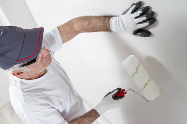 Best Mold Odor Removal Services  in Firestone, CO