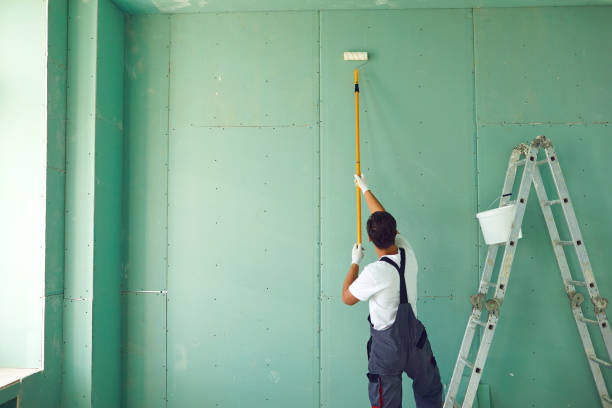 Best Basement Mold Removal  in Firestone, CO