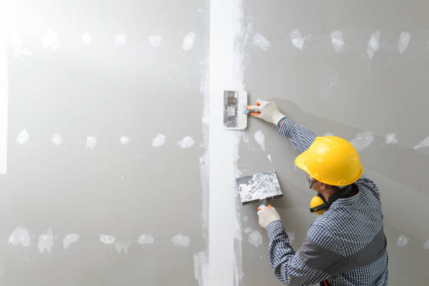 Best Dehumidification Services  in Firestone, CO