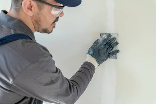 Best Environmental Consulting for Mold Prevention  in Firestone, CO