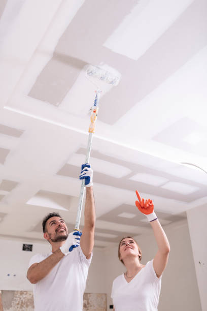 Best Mold Removal for HVAC Installations  in Firestone, CO