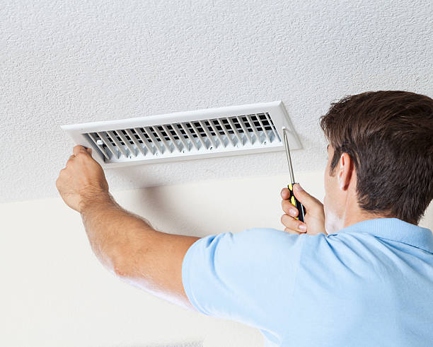 Best Commercial Mold Inspection  in Firestone, CO
