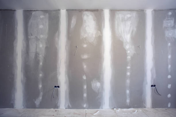 Best Mold-Related Health Consultation  in Firestone, CO